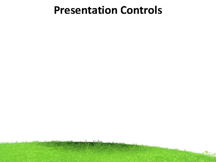 Presentation Controls 