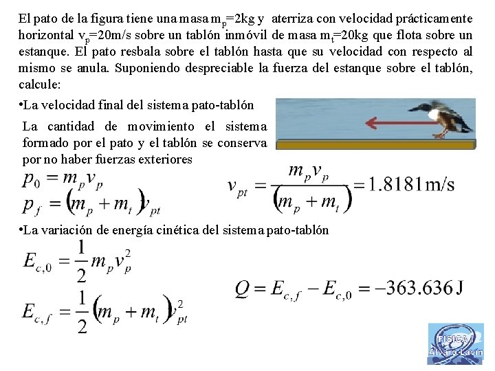 El pato de la figura tiene una masa mp=2 kg y aterriza con velocidad