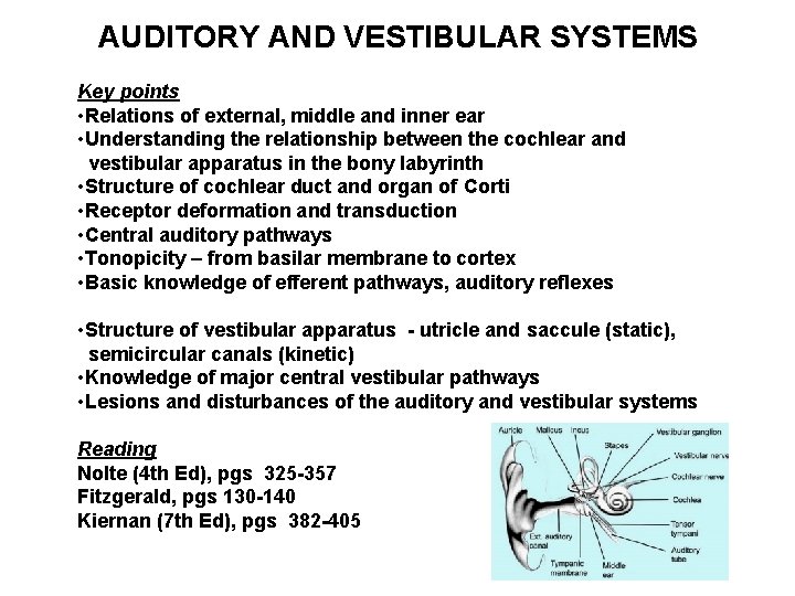 AUDITORY AND VESTIBULAR SYSTEMS Key points • Relations of external, middle and inner ear
