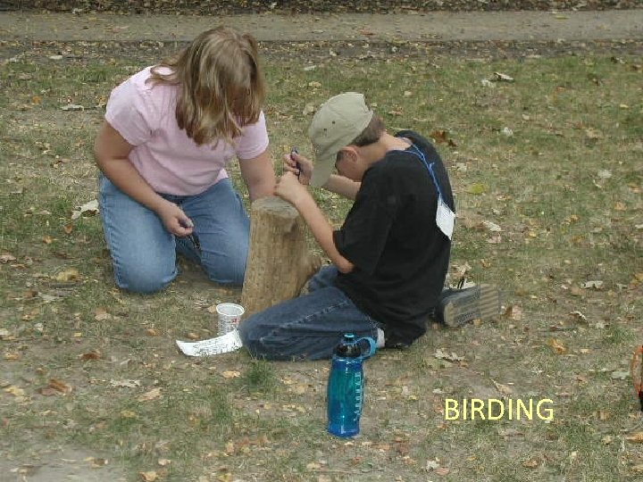 BIRDING 