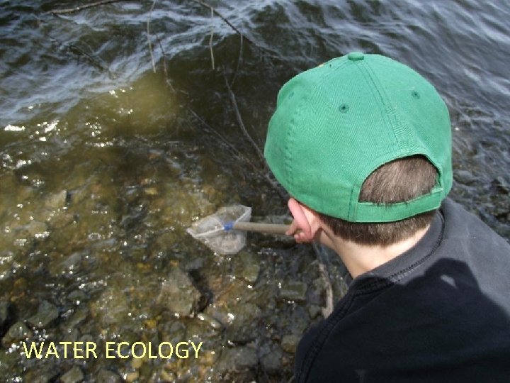 WATER ECOLOGY 