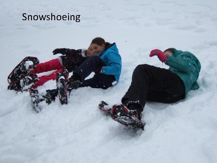 Snowshoeing 