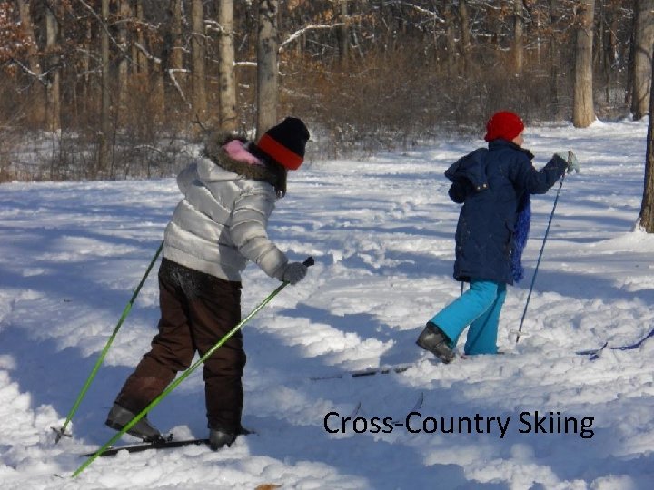 Cross-Country Skiing 