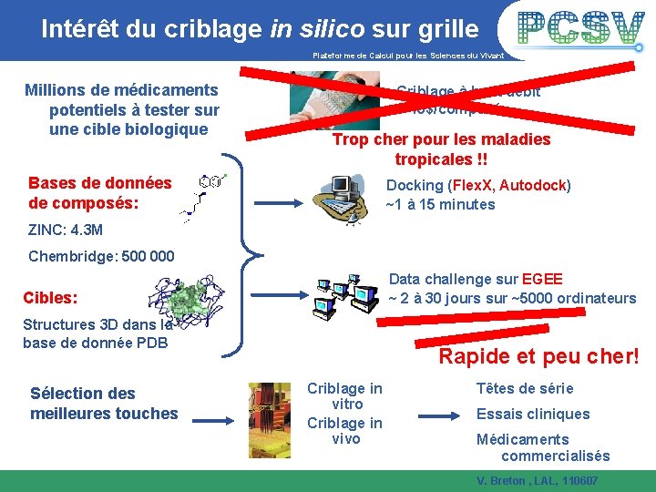 Intérêt du criblage in silico sur grille Plateforme de Calcul pour les Sciences du