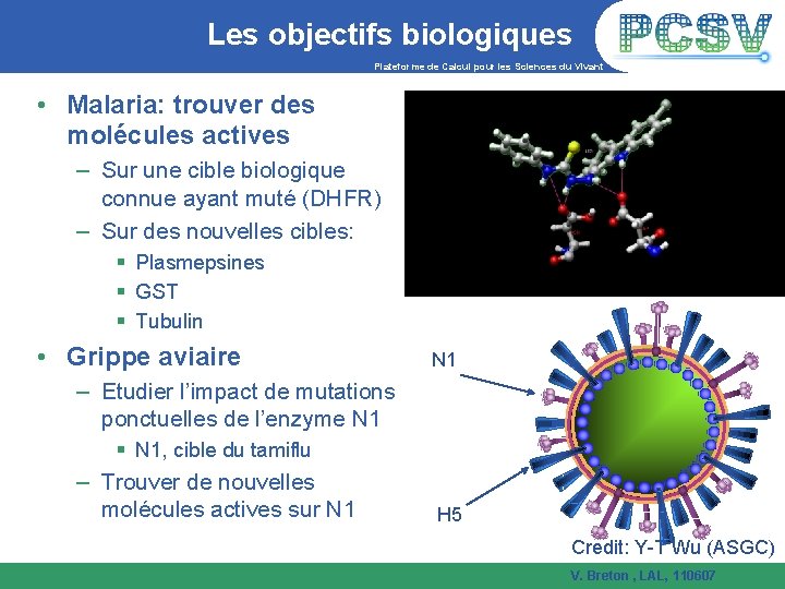 Les objectifs biologiques Plateforme de Calcul pour les Sciences du Vivant • Malaria: trouver