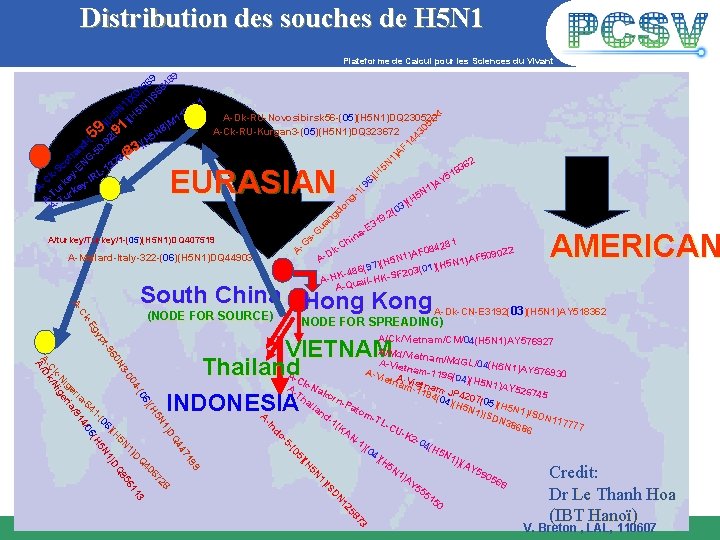 Distribution des souches de H 5 N 1 Plateforme de Calcul pour les Sciences