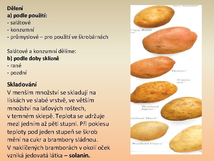 Dělení a) podle použití: - salátové - konzumní - průmyslové – pro použití ve