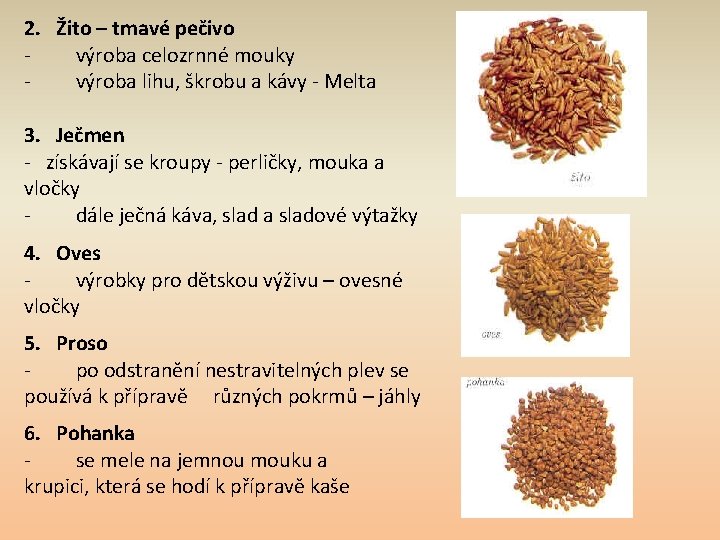 2. Žito – tmavé pečivo výroba celozrnné mouky výroba lihu, škrobu a kávy -