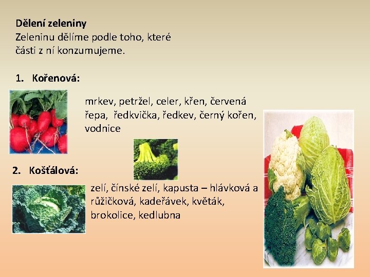 Dělení zeleniny Zeleninu dělíme podle toho, které části z ní konzumujeme. 1. Kořenová: mrkev,