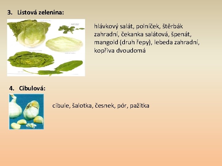 3. Listová zelenina: hlávkový salát, polníček, štěrbák zahradní, čekanka salátová, špenát, mangold (druh řepy),