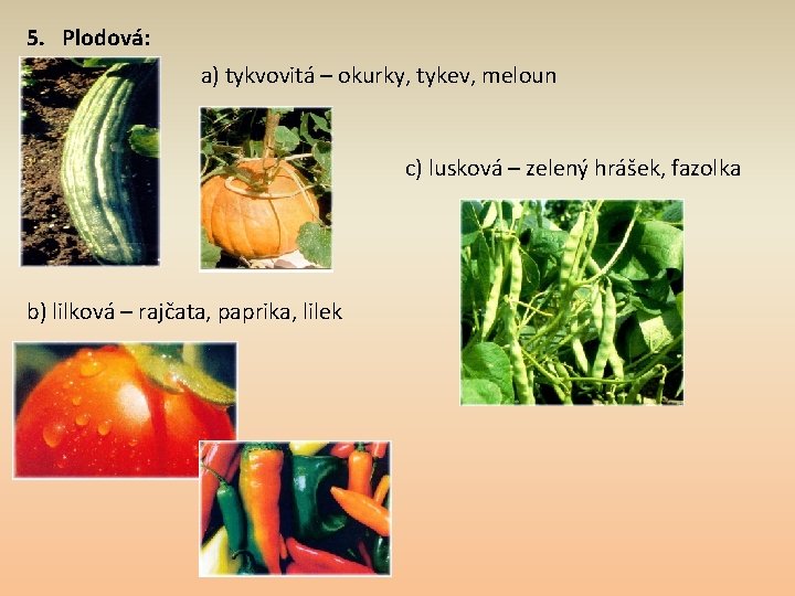 5. Plodová: a) tykvovitá – okurky, tykev, meloun c) lusková – zelený hrášek, fazolka