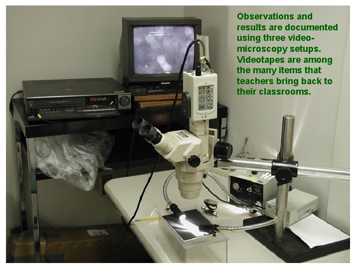 Observations and results are documented using three videomicroscopy setups. Videotapes are among the many