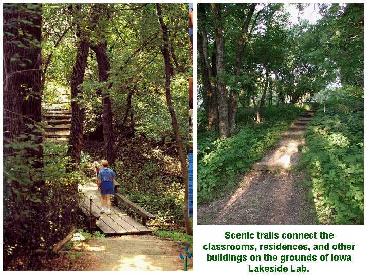 Scenic trails connect the classrooms, residences, and other buildings on the grounds of Iowa