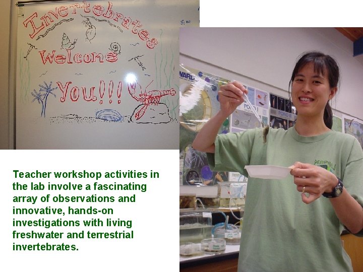 Teacher workshop activities in the lab involve a fascinating array of observations and innovative,