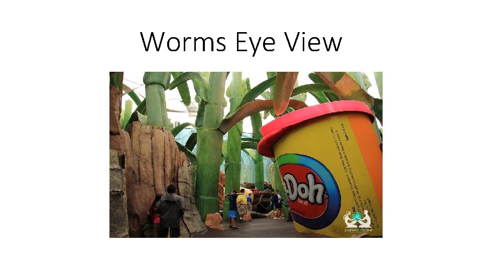 Worms Eye View 