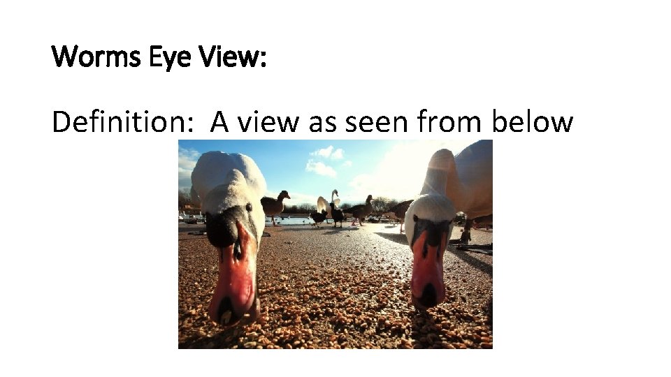 Worms Eye View: Definition: A view as seen from below 