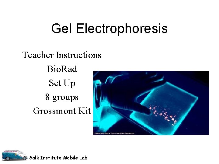 Gel Electrophoresis Teacher Instructions Bio. Rad Set Up 8 groups Grossmont Kit Salk Institute