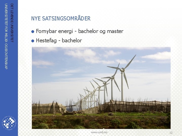 DET LEVENDE UNIVERSITETET FOR MILJØ OG BIOVITENSKAP NYE SATSINGSOMRÅDER = Fornybar energi bachelor og