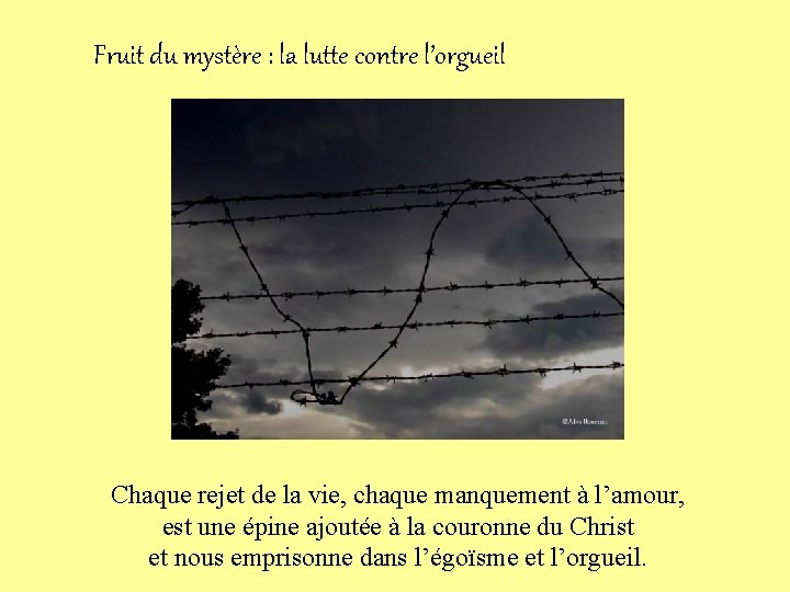 Fruit du mystère : la lutte contre l’orgueil Chaque rejet de la vie, chaque