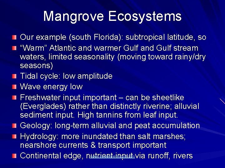 Mangrove Ecosystems Our example (south Florida): subtropical latitude, so “Warm” Atlantic and warmer Gulf