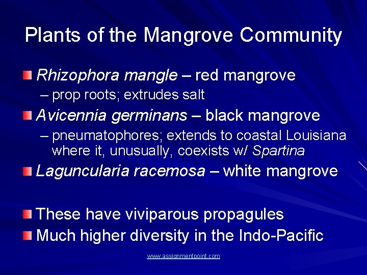 Plants of the Mangrove Community Rhizophora mangle – red mangrove – prop roots; extrudes