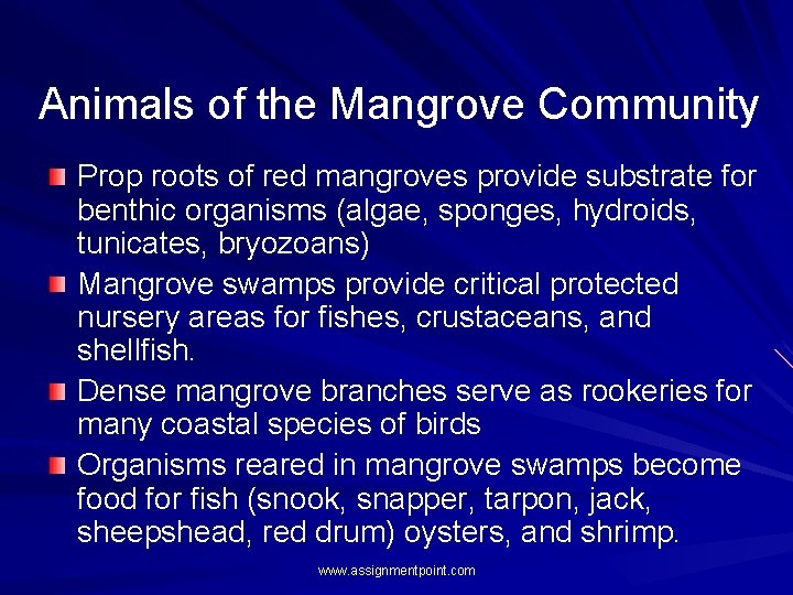 Animals of the Mangrove Community Prop roots of red mangroves provide substrate for benthic