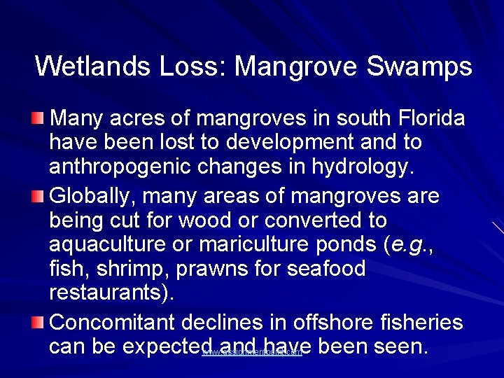 Wetlands Loss: Mangrove Swamps Many acres of mangroves in south Florida have been lost