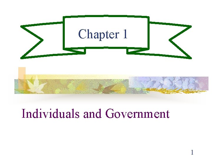 Chapter 1 Individuals and Government 1 