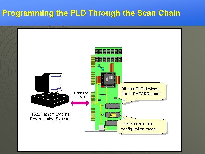 Programming the PLD Through the Scan Chain 