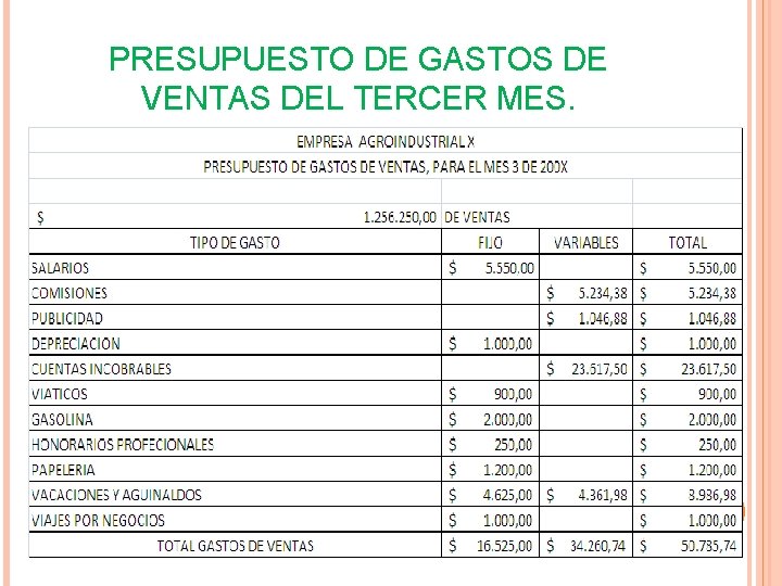 PRESUPUESTO DE GASTOS DE VENTAS DEL TERCER MES. PRESUPUESTO DE GASTOS DE VENTAS DEL TERCER MES.