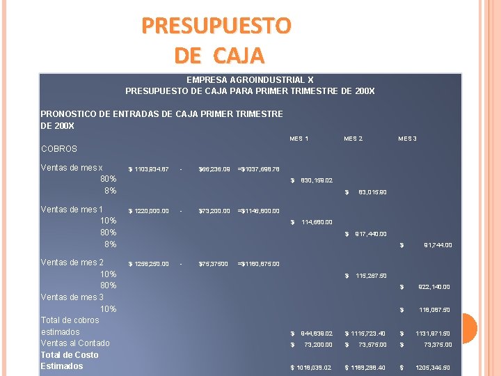 PRESUPUESTO DE CAJA EMPRESA AGROINDUSTRIAL X PRESUPUESTO DE CAJA PARA PRIMER TRIMESTRE DE 200 PRESUPUESTO DE CAJA EMPRESA AGROINDUSTRIAL X PRESUPUESTO DE CAJA PARA PRIMER TRIMESTRE DE 200