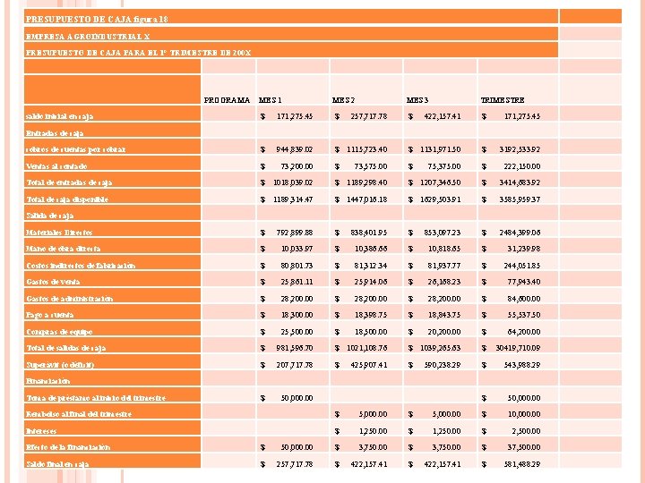 PRESUPUESTO DE CAJA figura 18 EMPRESA AGROINDUSTRIAL X PRESUPUESTO DE CAJA PARA EL 1° PRESUPUESTO DE CAJA figura 18 EMPRESA AGROINDUSTRIAL X PRESUPUESTO DE CAJA PARA EL 1°