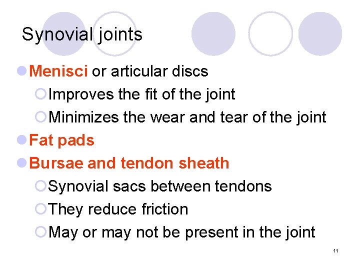 Synovial joints l Menisci or articular discs ¡Improves the fit of the joint ¡Minimizes