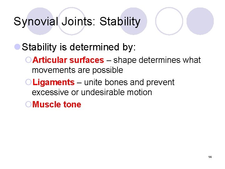 Synovial Joints: Stability l Stability is determined by: ¡Articular surfaces – shape determines what
