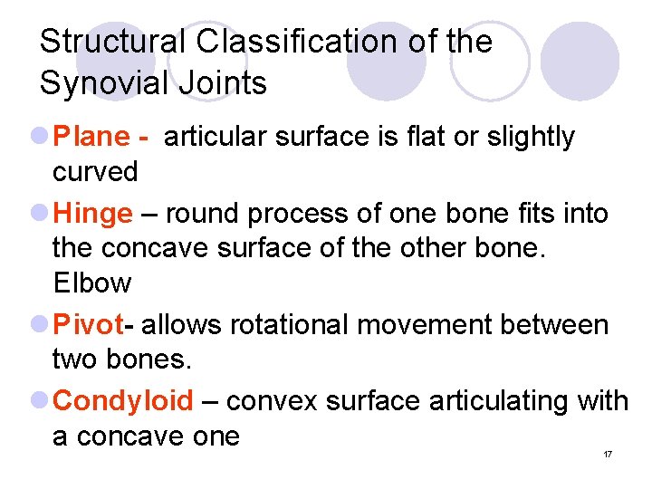 Structural Classification of the Synovial Joints l Plane - articular surface is flat or