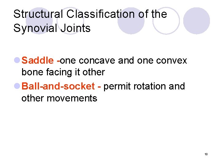 Structural Classification of the Synovial Joints l Saddle -one concave and one convex bone