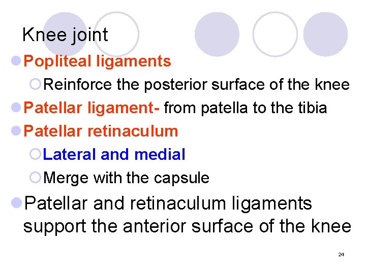 Knee joint l Popliteal ligaments ¡Reinforce the posterior surface of the knee l Patellar