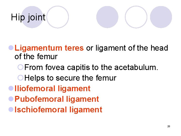 Hip joint l Ligamentum teres or ligament of the head of the femur ¡From