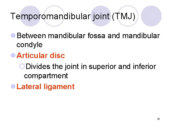 Temporomandibular joint (TMJ) l Between mandibular fossa and mandibular condyle l Articular disc ¡Divides