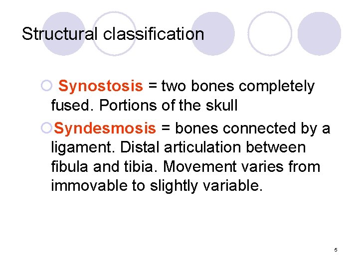 Structural classification ¡ Synostosis = two bones completely fused. Portions of the skull ¡Syndesmosis