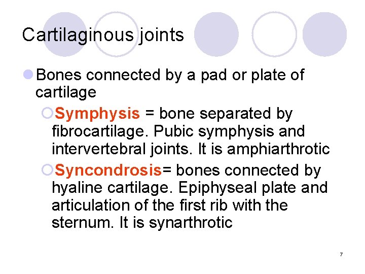 Cartilaginous joints l Bones connected by a pad or plate of cartilage ¡Symphysis =