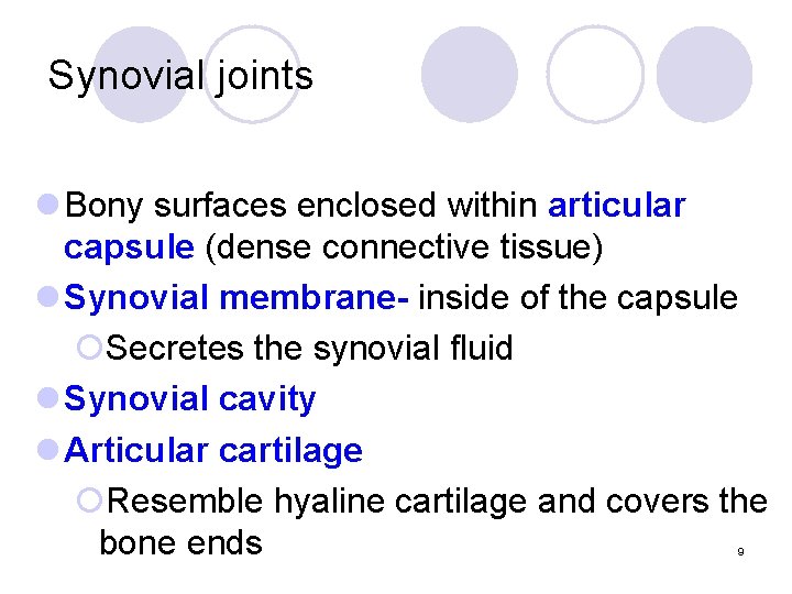 Synovial joints l Bony surfaces enclosed within articular capsule (dense connective tissue) l Synovial