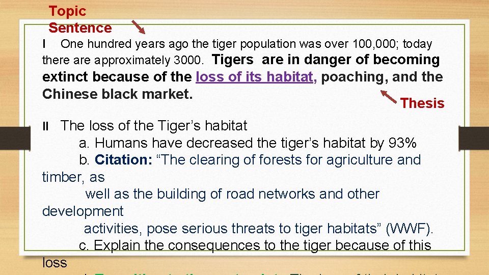 Topic Sentence I One hundred years ago the tiger population was over 100, 000;