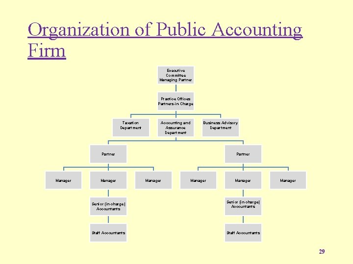 Organization of Public Accounting Firm Executive Committee Managing Partner Practice Offices Partners-in-Charge Taxation Department