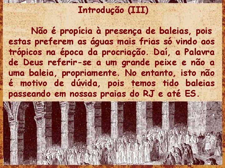 Introdução (III) Não é propícia à presença de baleias, pois estas preferem as águas