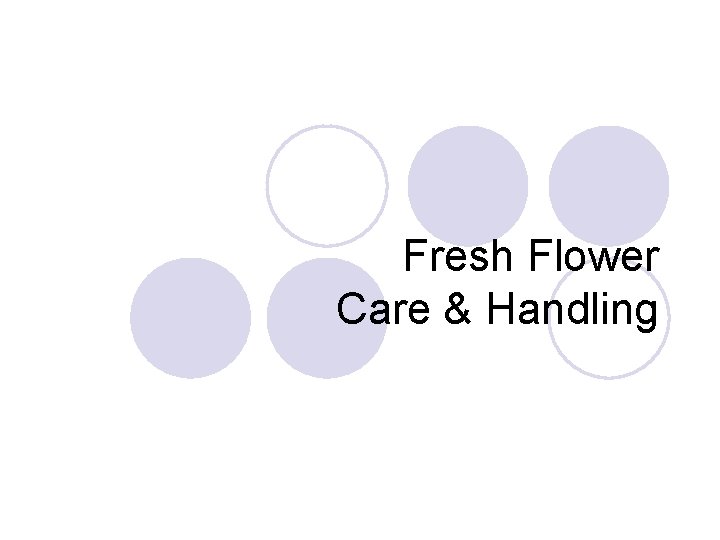 Fresh Flower Care & Handling 