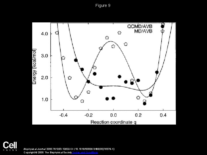 Figure 9 Biophysical Journal 2000 791253 -1262 DOI: (10. 1016/S 0006 -3495(00)76379 -X) Copyright