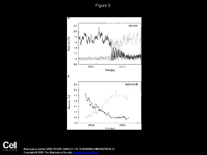 Figure 5 Biophysical Journal 2000 791253 -1262 DOI: (10. 1016/S 0006 -3495(00)76379 -X) Copyright