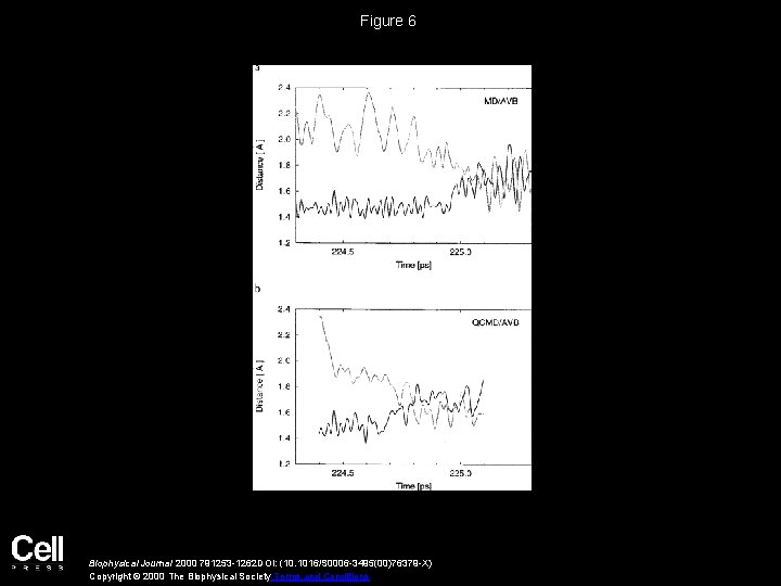 Figure 6 Biophysical Journal 2000 791253 -1262 DOI: (10. 1016/S 0006 -3495(00)76379 -X) Copyright