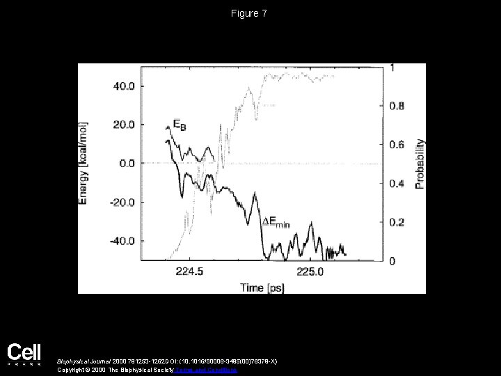 Figure 7 Biophysical Journal 2000 791253 -1262 DOI: (10. 1016/S 0006 -3495(00)76379 -X) Copyright